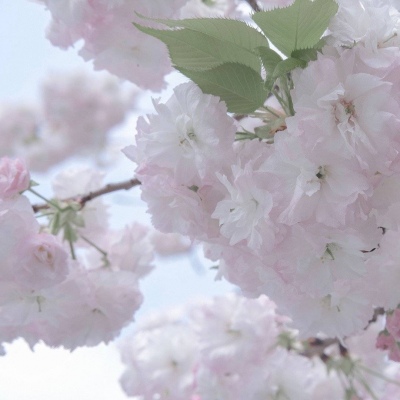 Furry兽设设计技巧兽圈社群