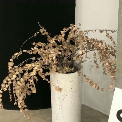 Furry插画风格解析福瑞群